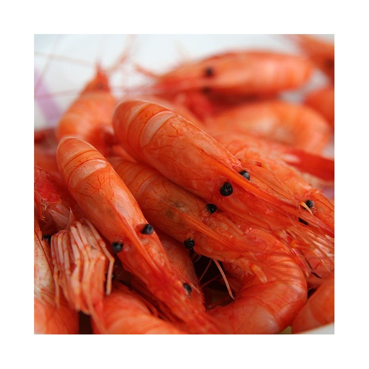 Camarón cocido