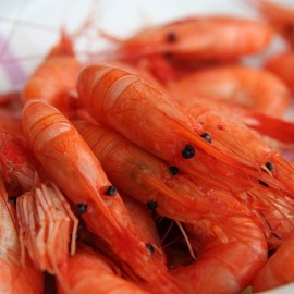 Comprar camarones cocidos | mariscos gallegos a domicilio