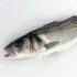Lubina salvaje