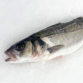 Lubina salvaje recién pescada. Del mar a su mesa en  24/48h.