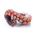 Pulpo