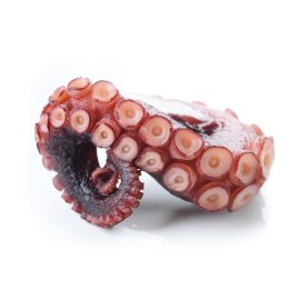 Patas de pulpo cocido envasadas al vacío.