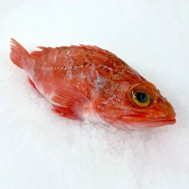 cabracho fresco ideal para el pastel de cabracho en 24/48h.