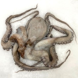 Comprar pulpo gallego online en bocadodemar.com. | entrega 24h.