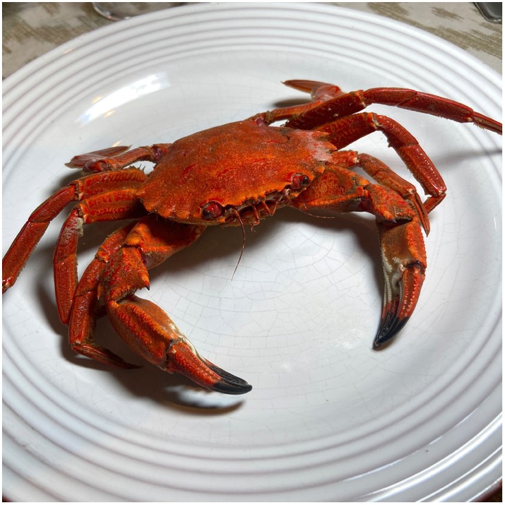 Nécora gallega de la Ría