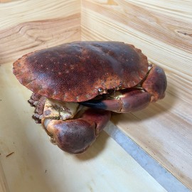 Buey de mar precio sin competencia a domicilio