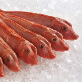 Comprar pescados como el rubio o escacho