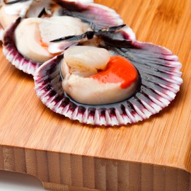 Zamburiña gallega media concha al mejor precio.