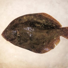 Corujo de las rías gallegas del mar a tu mesa en 24h.