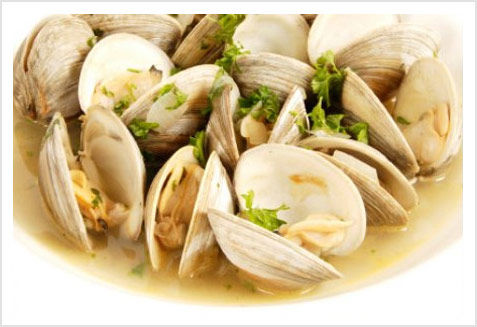 comprar almeja rubia comprar almejas